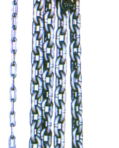 RDTRC1S