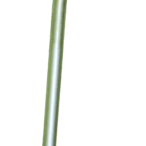 Rdxl10582